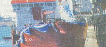 PAVINO